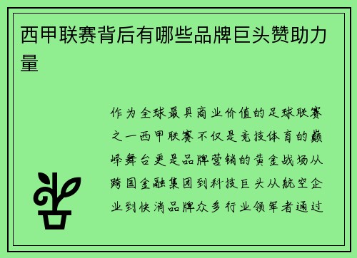 西甲联赛背后有哪些品牌巨头赞助力量